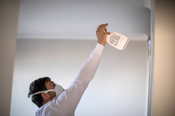 Mold Removal Process in Bethel, OH