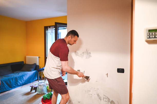 Best Fast Mold Removal  in Bethel, OH